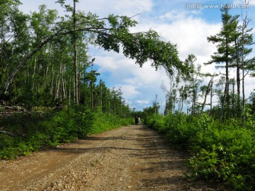 夏季的大兴安岭 山路 森林