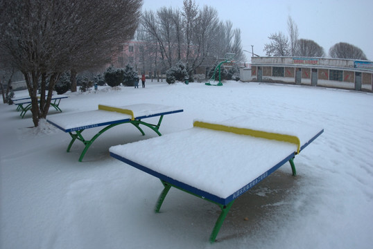 冬天校园雪树下的乒乓球台
