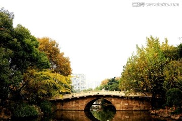 上海天山公园风光