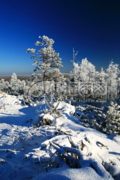 林海雪原