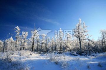 林海雪原