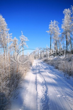 雪路