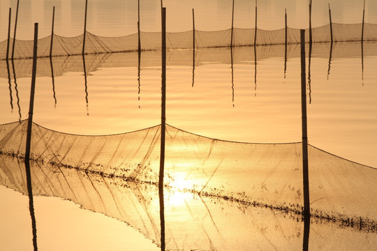 夕阳渔网