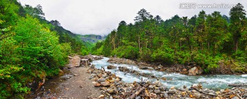 梅里雪山原始森林小溪宽幅