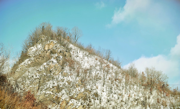 松岭雪村雪松