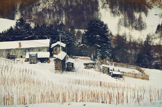 松岭雪村农家院