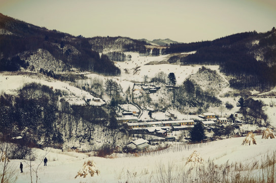 松岭雪村水墨丹青