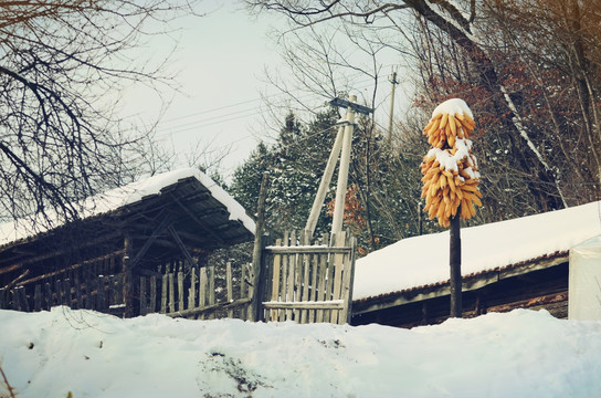 松岭雪村农家