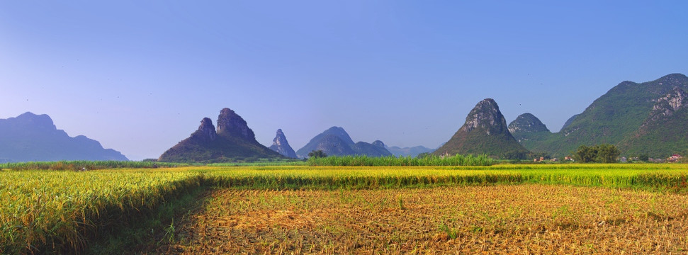 风景背景