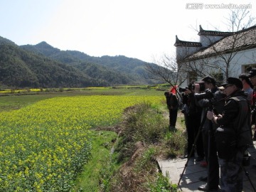 婺源油菜花 吸引摄影客