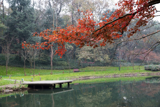 冬季湖畔风景