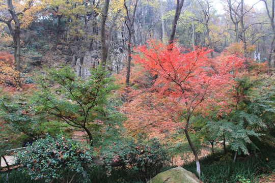 栖霞山