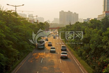 城市道路干道绿化