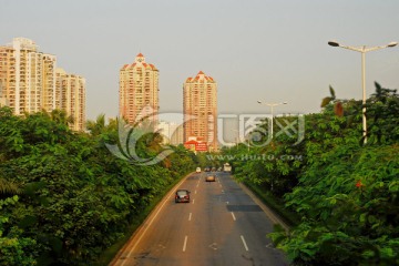 城市道路与城市绿化