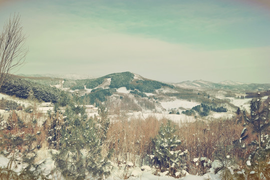 松岭雪村