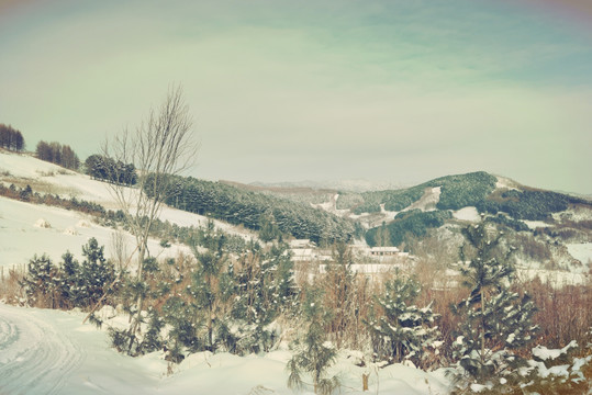 松岭雪村