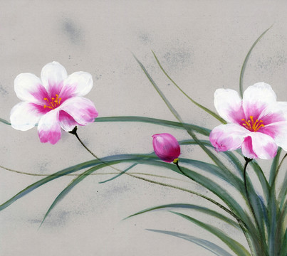 油畫花卉無框畫