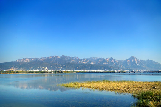 湿地公园 大河湿地