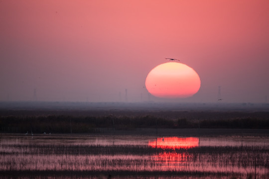 湿地夕阳 倒影