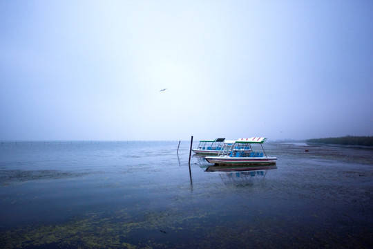 湖泊游艇