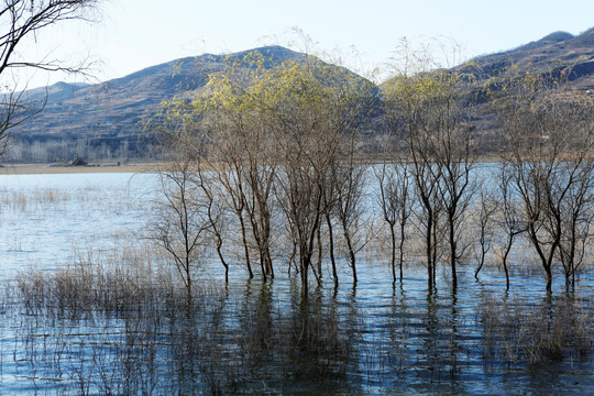 水库