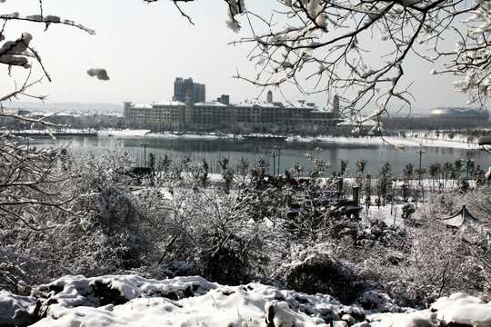 雪景 碧桂园