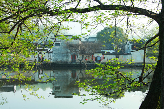 宏村风景