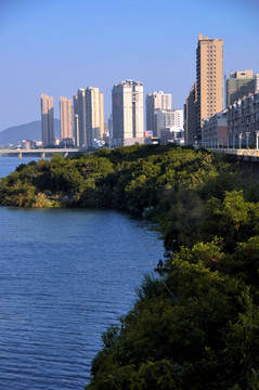 城市绿色河岸和高楼
