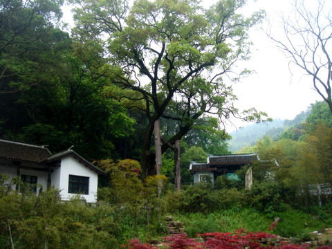 张家界风景