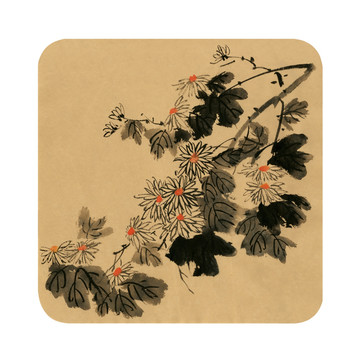 寫意菊花 國(guó)畫菊花 菊花