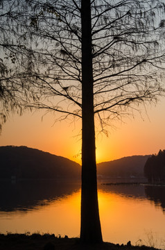 湖岸日落