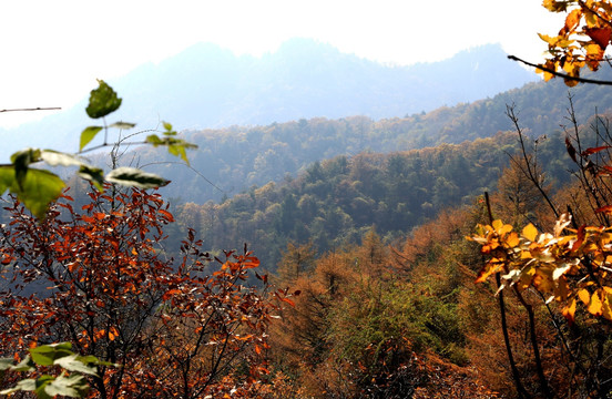 玉皇山