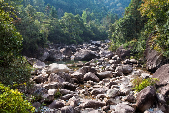 福建武夷山大安源风光