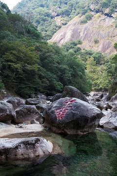 福建武夷山大安源风光