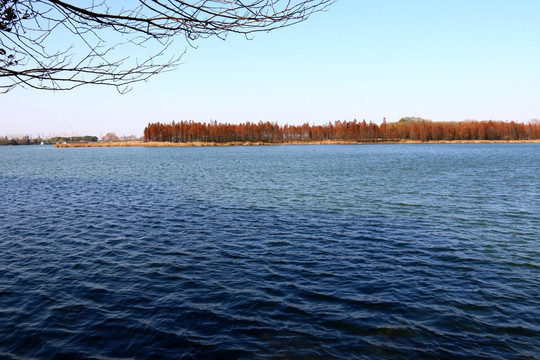 东湖风景