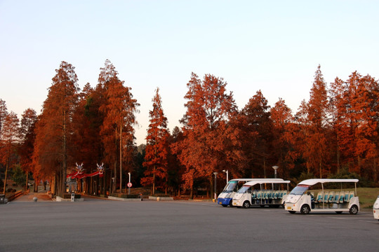 磨山风景