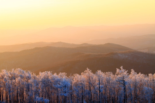 雪林夕照