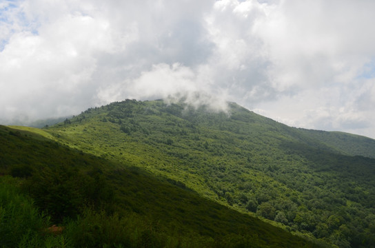 高山白云