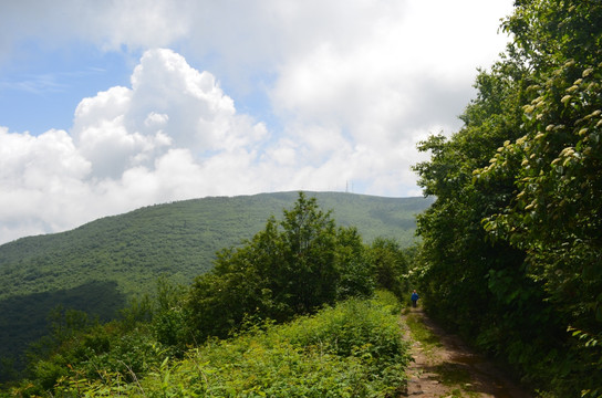 高山白云