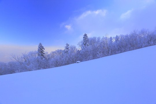 冰雪旅游