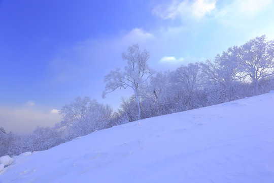 冰雪旅游