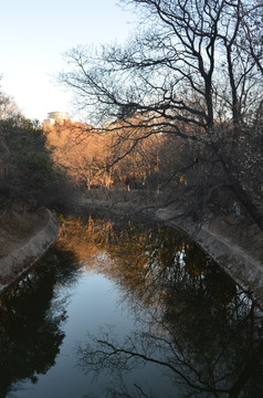 兴庆宫晨景