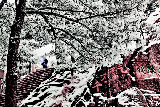 黄山风光 冬雪 冬景