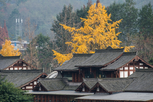 四川街子古鎮(zhèn)秋色
