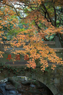 莫干山剑池阜溪桥