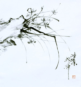 原創(chuàng)寫(xiě)意蘭花