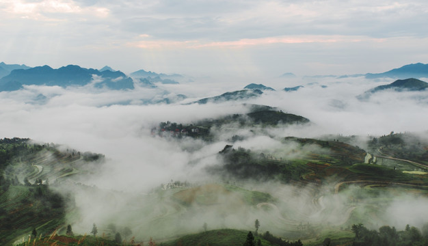 茗岙