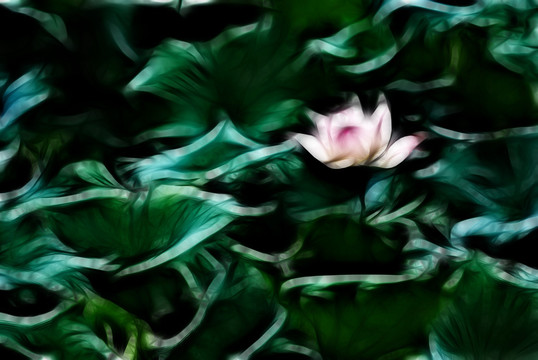 裝飾畫(huà) 荷花
