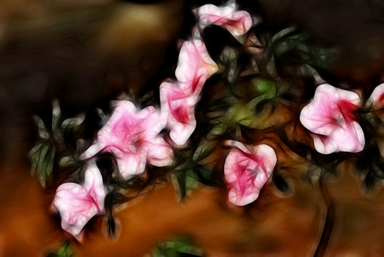 裝飾畫 花