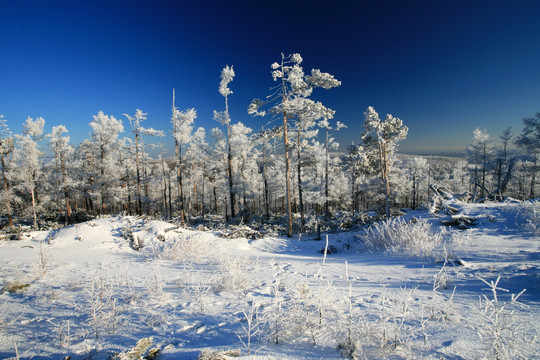 林海雪原